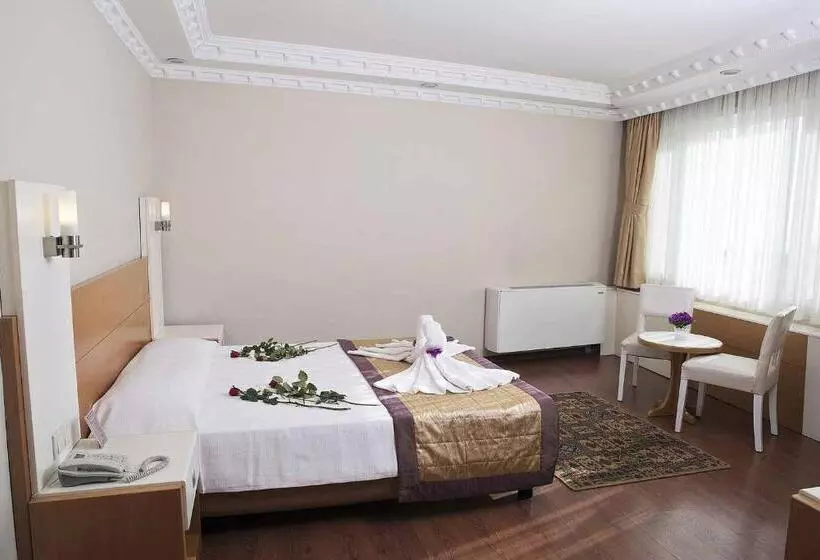 Fotos del hotel Baron:  24