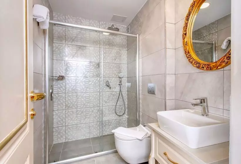 Fotos del hotel Saba Sultanahmet:  10