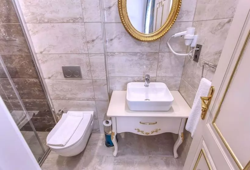 Fotos del hotel Saba Sultanahmet:  6