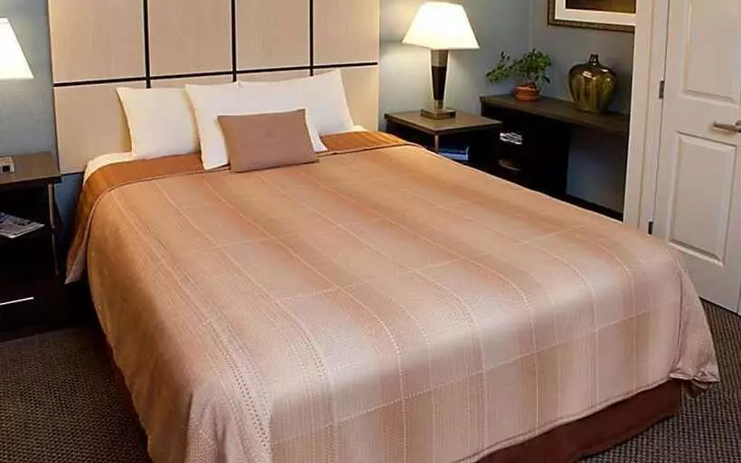 Fotos del hotel Sonesta Simply Suites Phoenix Glendale:  22