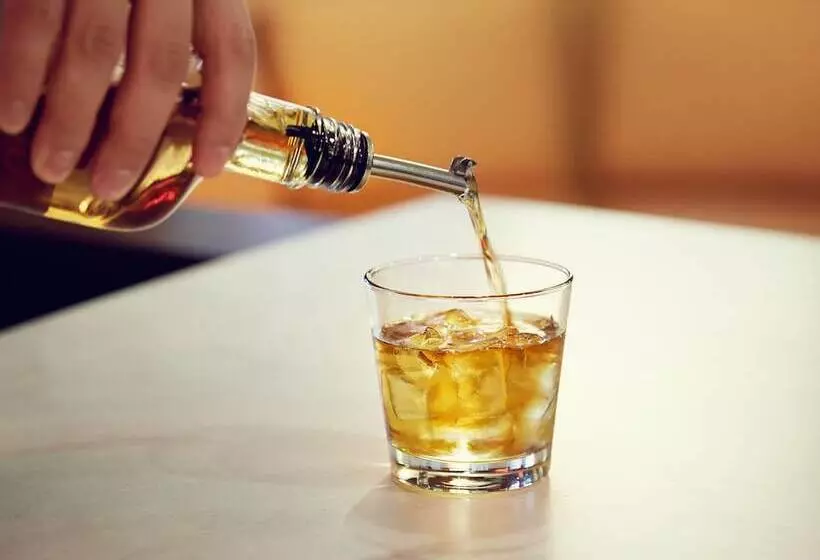 Fotos del hotel Courtyard By Marriott Orlando Airport:  16