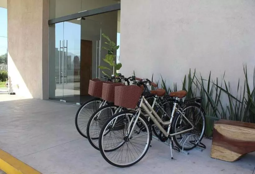 Fotos del hotel México Plaza Querétaro:  22