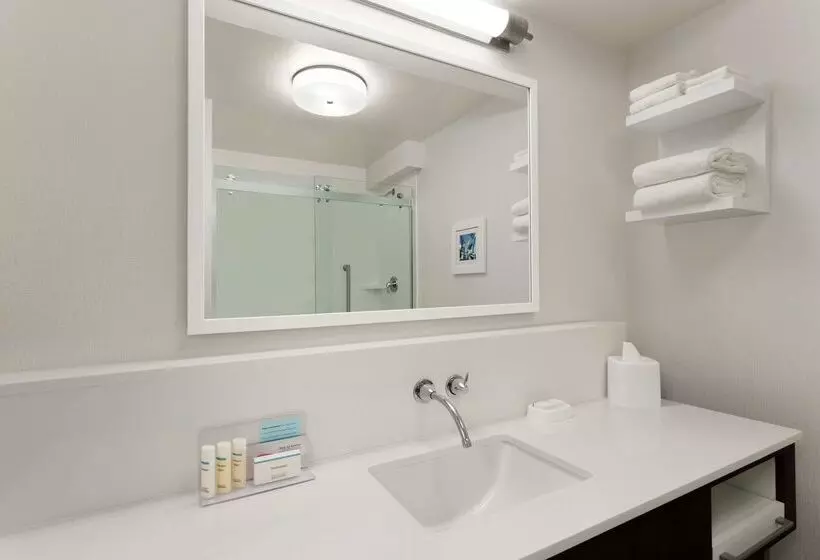 Fotos del hotel Hampton Inn Houston Hobby Airport:  6