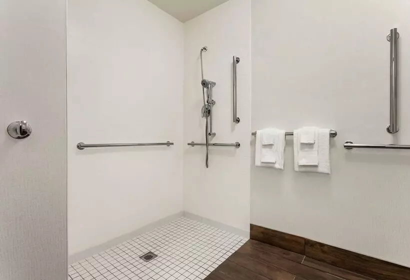 Fotos del hotel Hampton Inn Houston Hobby Airport:  17