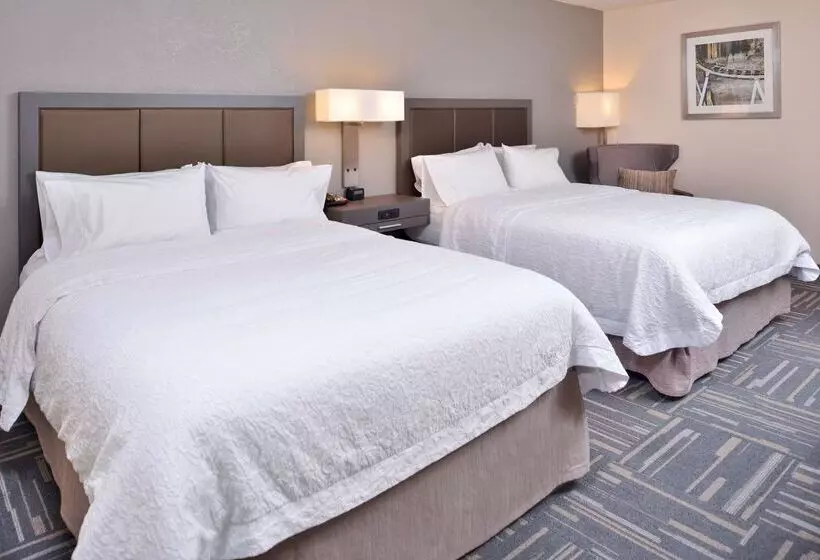 Fotos del hotel Hampton Inn Closest To Universal Orlando:  14