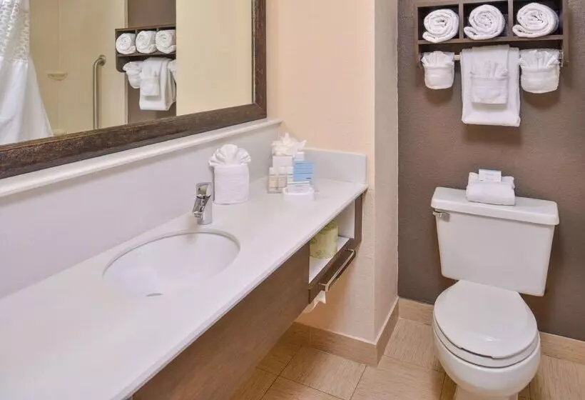 Fotos del hotel Hampton Inn Closest To Universal Orlando:  7