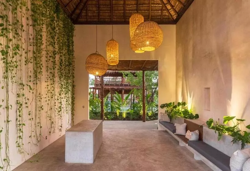 Fotos del hotel Zenses Wellness And Yoga Resort  Adults Only:  25