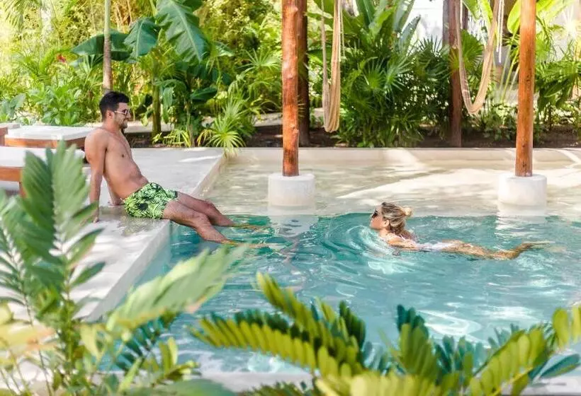 Fotos del hotel Zenses Wellness And Yoga Resort  Adults Only:  14