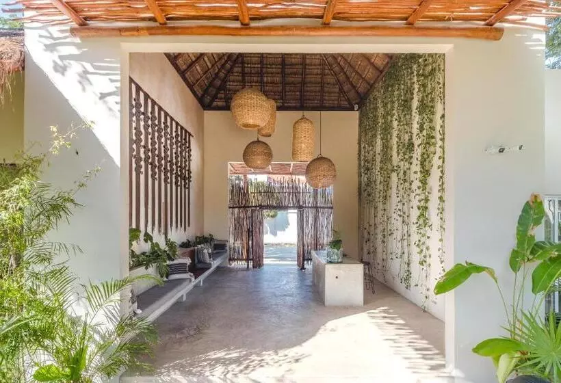 Fotos del hotel Zenses Wellness And Yoga Resort  Adults Only:  3