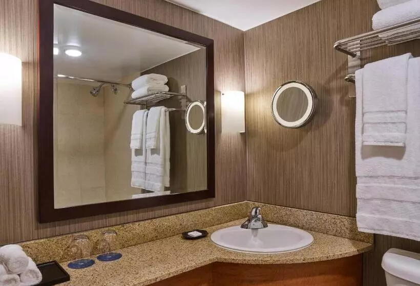 Fotos del hotel Sheraton Atlanta:  17