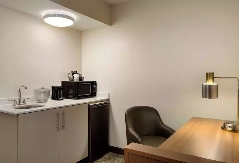 Fotos del hotel Springhill Suites Phoenix North:  19