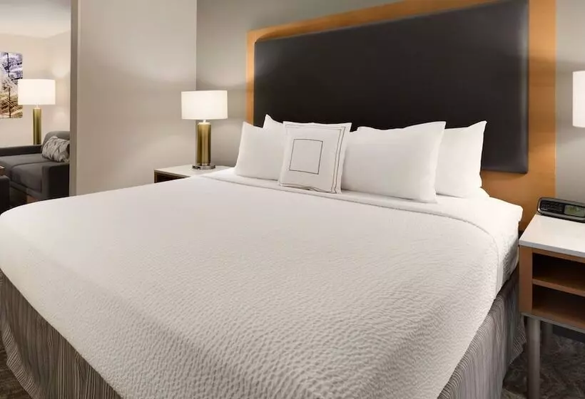 Fotos del hotel Springhill Suites Phoenix North:  12