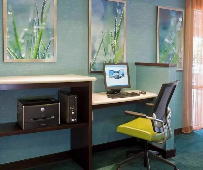 Fotos del hotel Springhill Suites Phoenix North:  9