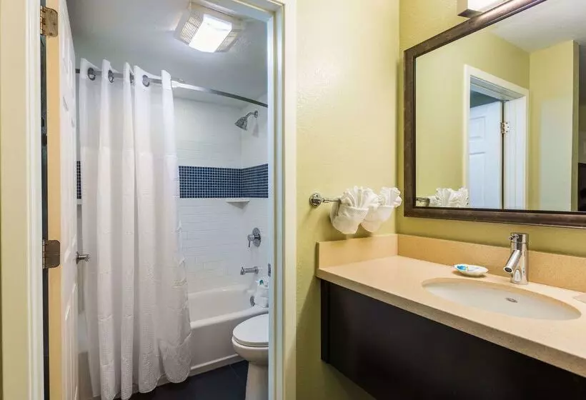 Fotos del hotel Sonesta Es Suites Lake Buena Vista:  15