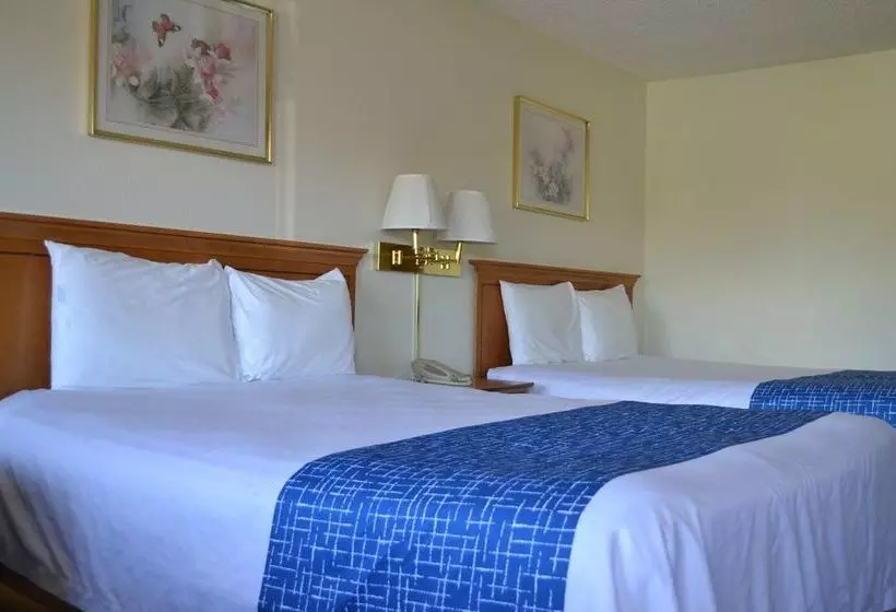 Fotos del hotel Travelodge Sea Tac Airport North:  5