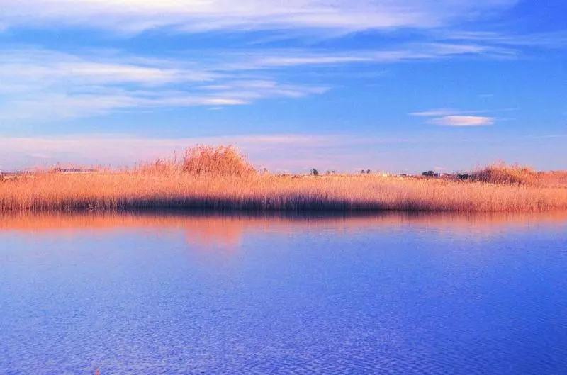 Fotos del hotel Traíña:  19