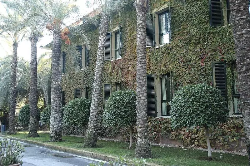 Fotos del hotel Jardín Milenio:  7