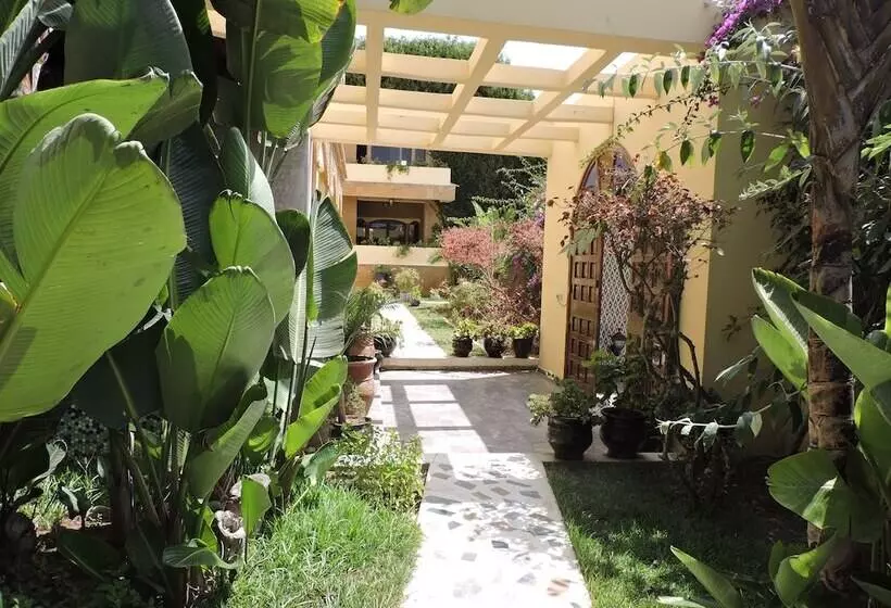 Fotos del hotel Villa Quieta:  5