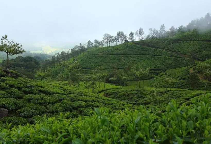 Fotos del hotel Fort Munnar:  14