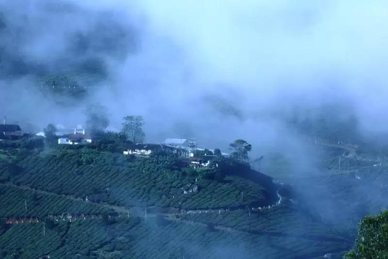 Fotos del hotel Fort Munnar:  7