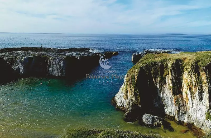 Fotos del hotel Norat Palmeira Playa:  21