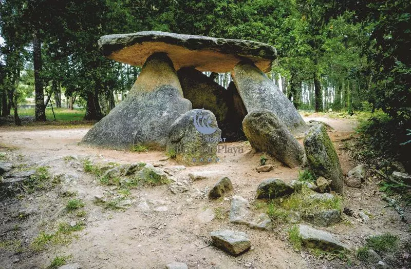 Fotos del hotel Norat Palmeira Playa:  6