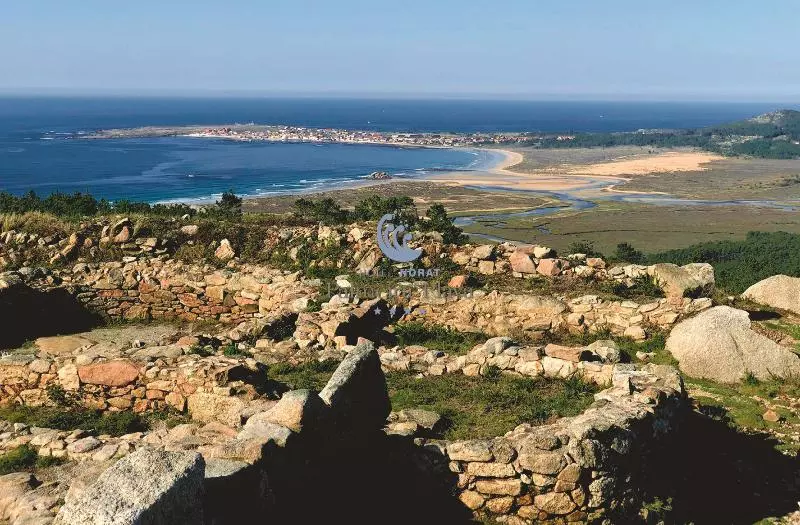 Fotos del hotel Norat Palmeira Playa:  14