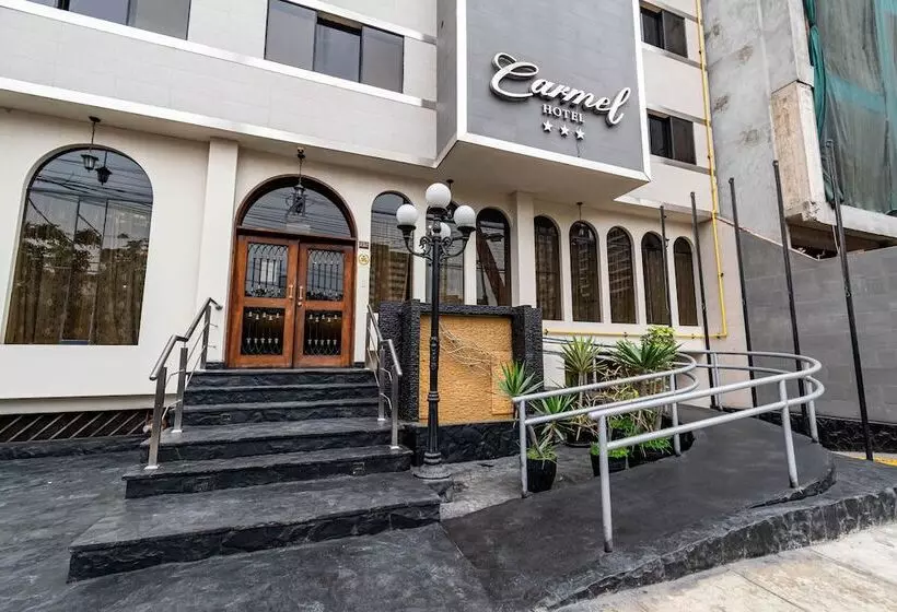 Fotos del hotel Carmel:  8