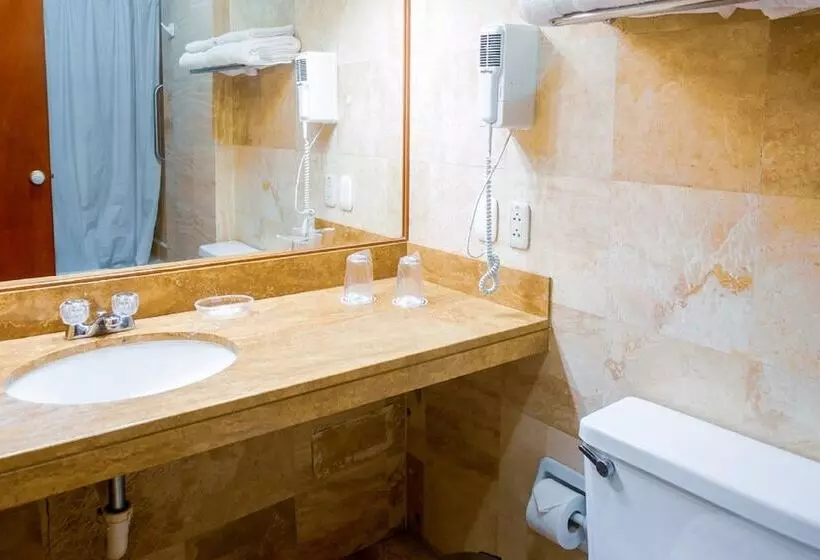 Fotos del hotel Carmel:  6