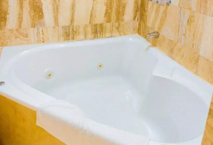 Fotos del hotel Carmel:  15