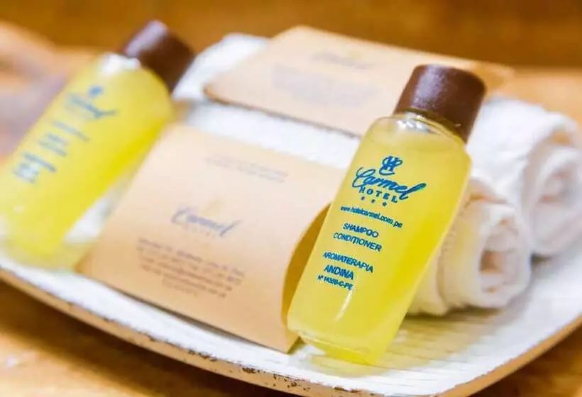 Fotos del hotel Carmel:  13