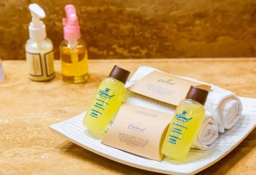 Fotos del hotel Carmel:  4