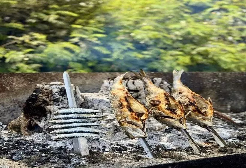 Fotos del hotel Santa Rosa:  14