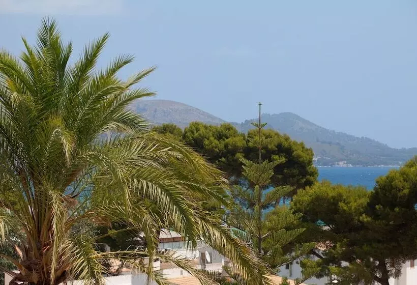 Fotos del hotel Js Alcudimar:  17