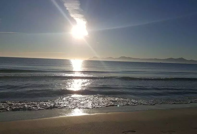 Fotos del hotel Js Alcudimar:  10