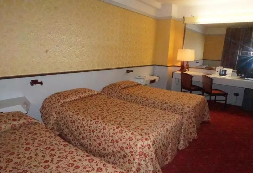 Fotos del hotel Maxim:  8