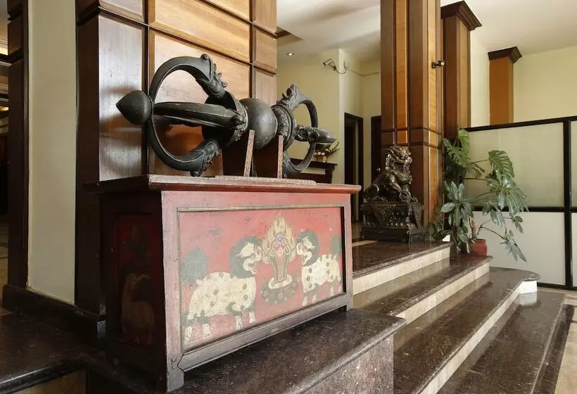 Fotos del hotel Royal Singi:  7