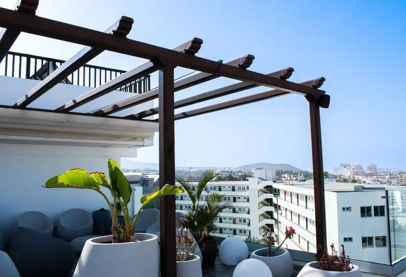 Fotos del hotel Coral Ocean View  Adults Only:  39