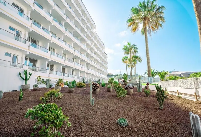 Fotos del hotel Coral Ocean View  Adults Only:  57