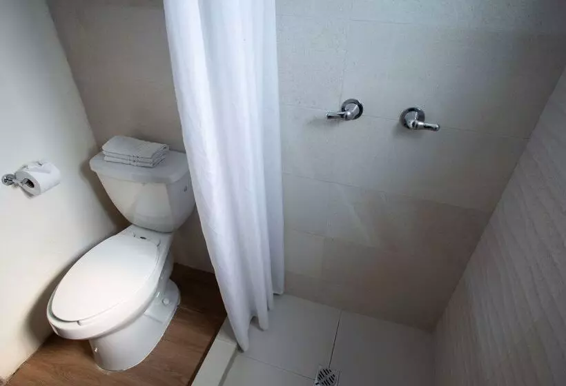 Fotos del hotel Best Western Centro Monterrey:  7