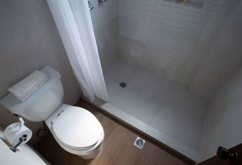 Fotos del hotel Best Western Centro Monterrey:  13