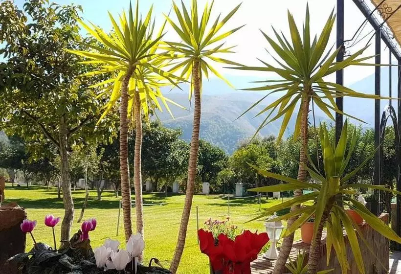 Fotos del hotel Taray Botanico:  13