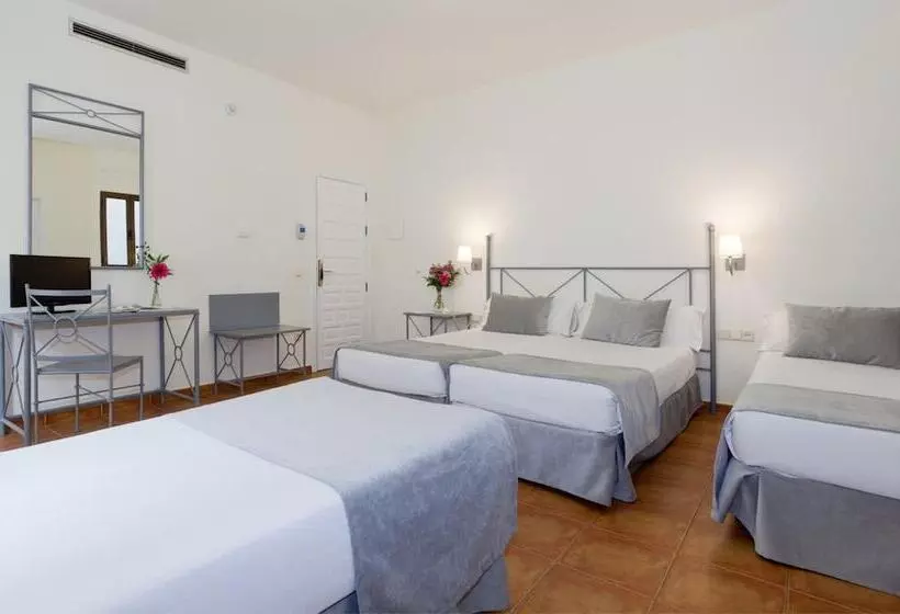 Fotos del hotel Toledo Imperial:  9