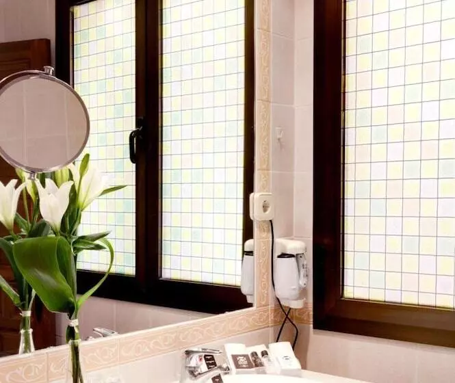 Fotos del hotel Toledo Imperial:  10