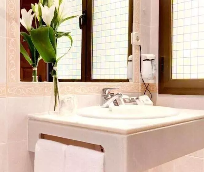 Fotos del hotel Toledo Imperial:  4