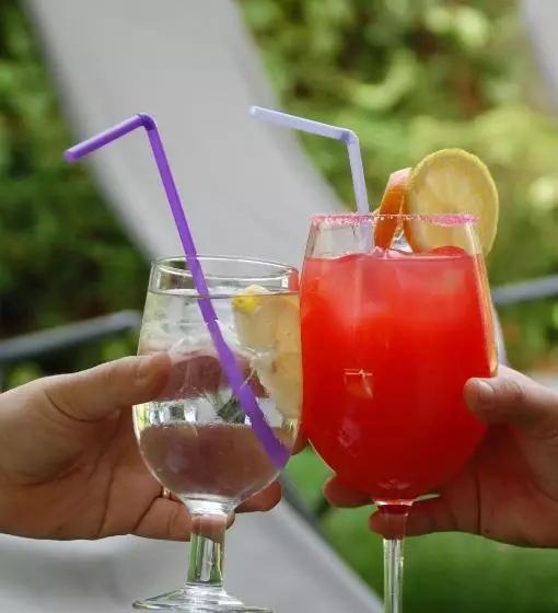 Fotos del hotel Eco Via Lusitana:  20