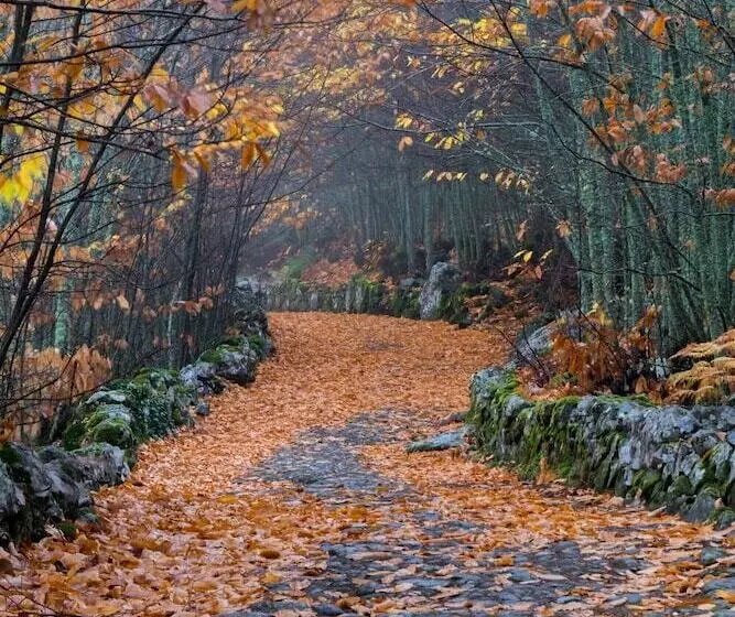 Fotos del hotel El-rei Dom Manuel:  8