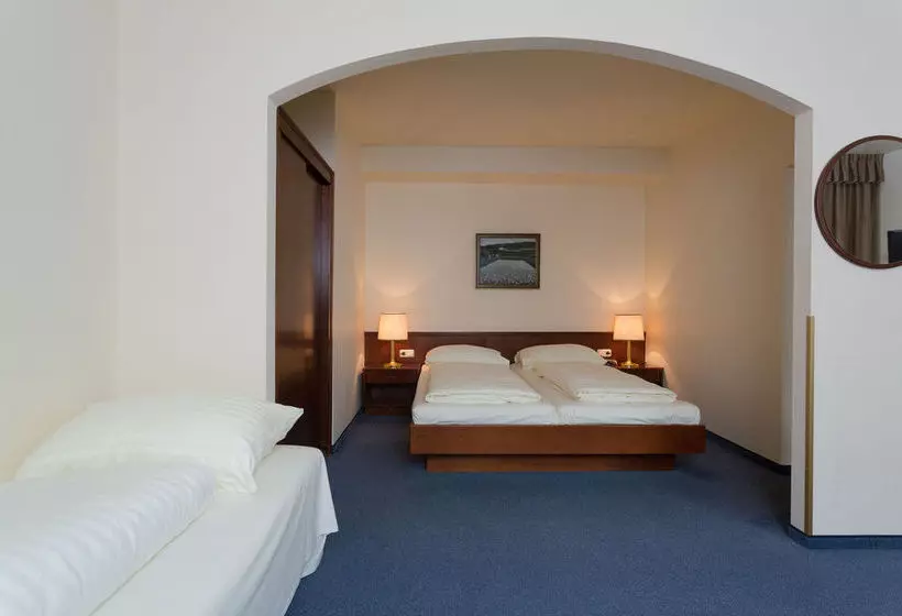 Fotos del hotel Tulip Inn Vienna Thüringer Hof:  20