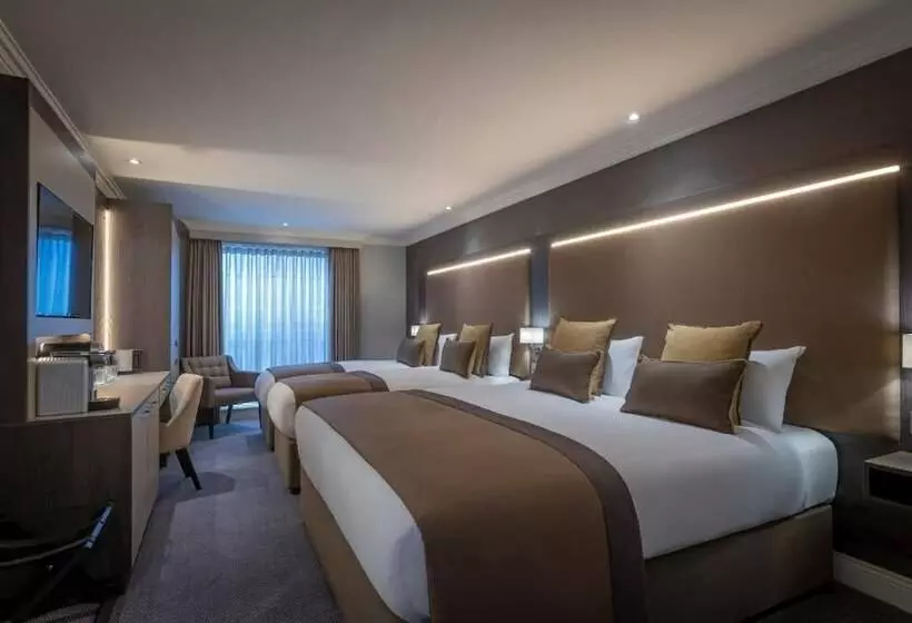 Fotos del hotel Belvedere Hotel Parnell Square:  19