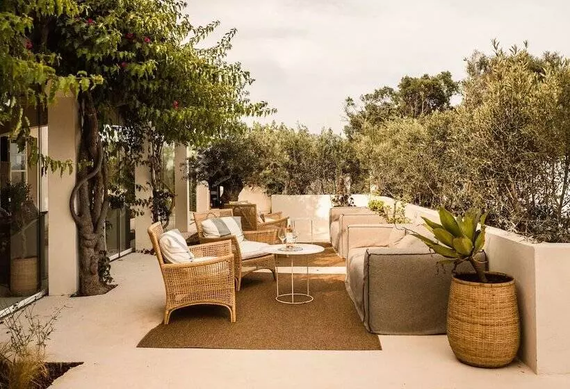 Fotos del hotel Rural Morvedra Nou:  12